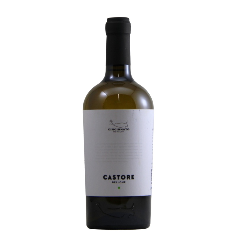 Cincinnato "Castore" Bellone 2024