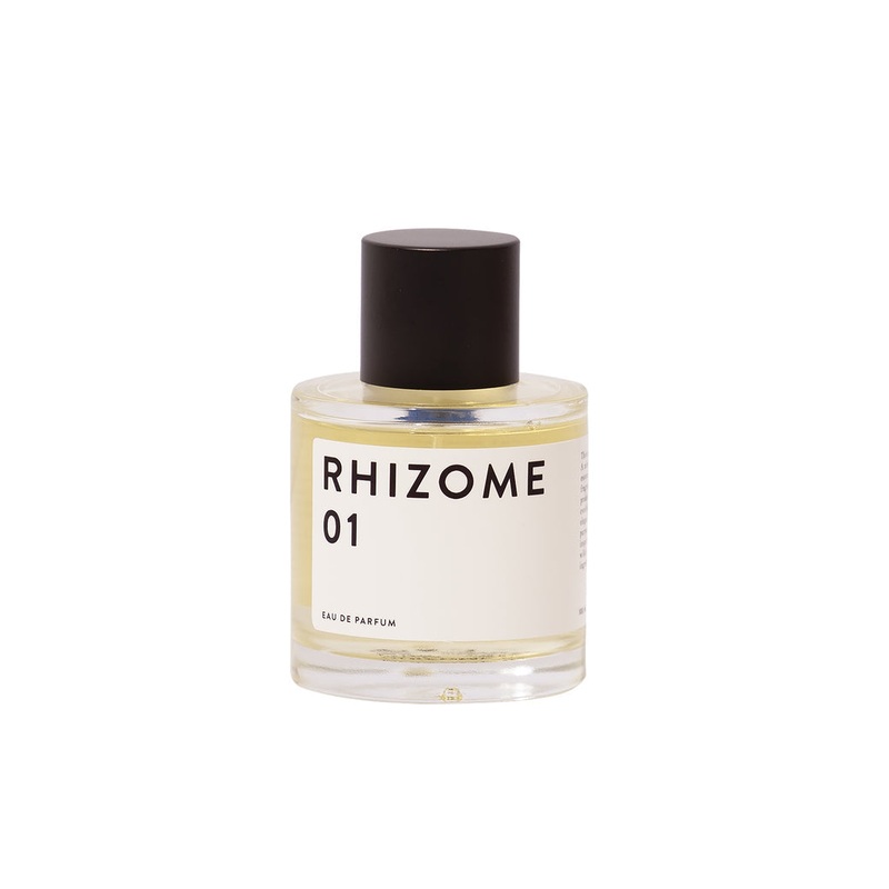 Rhizome 01