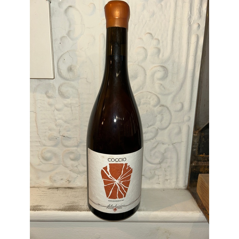 Verdicchio "Coccio," Filodivino 2020 (Marche, Italy)