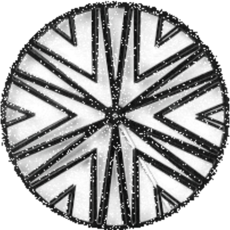 Rhizome 39mm