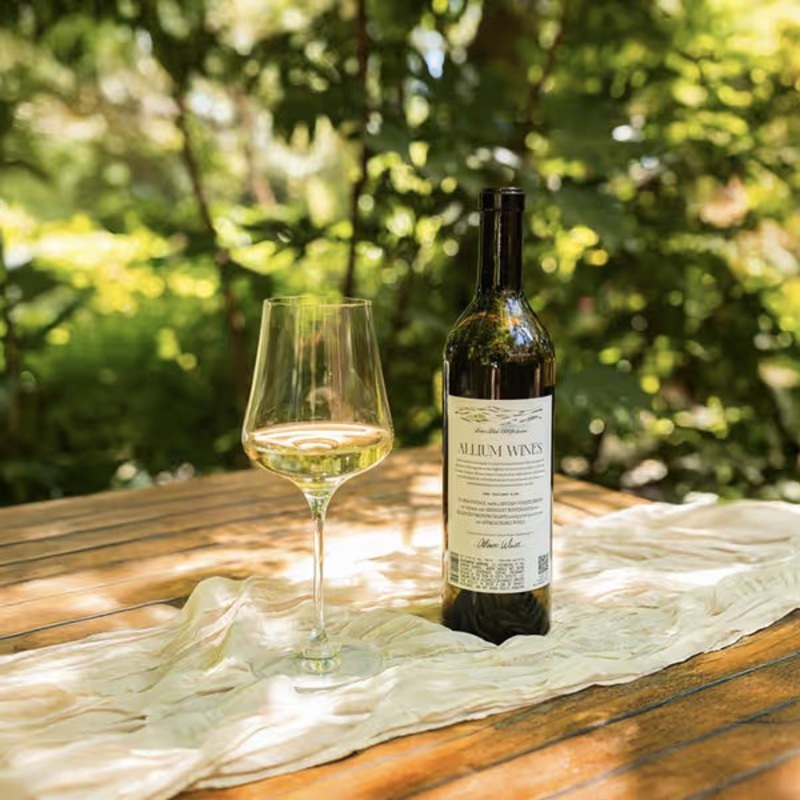 Allium Wines Katie's Block Sauvignon blanc 2024 750 ML