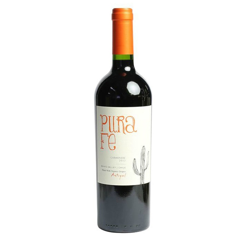 Antiyal Pura Fe Valle del Maipo Cabernet Sauvignon
