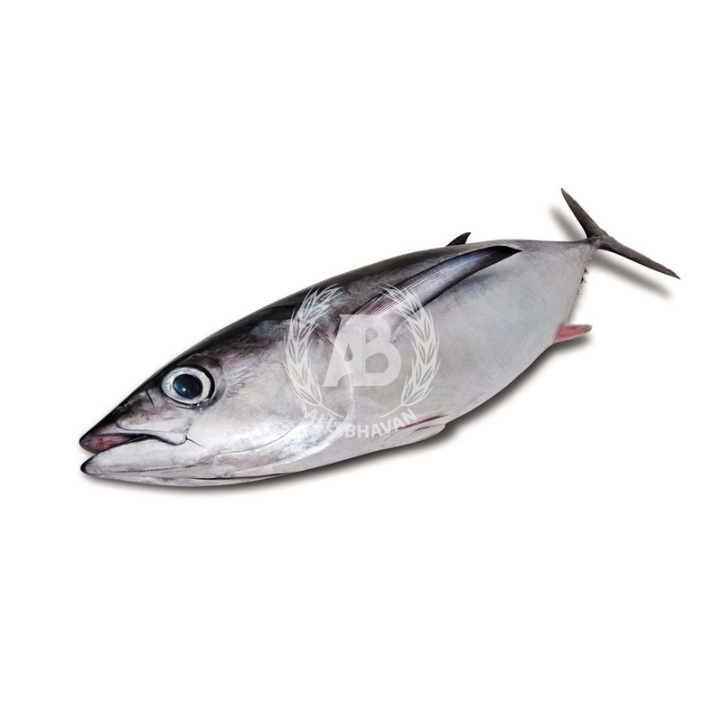 Tuna