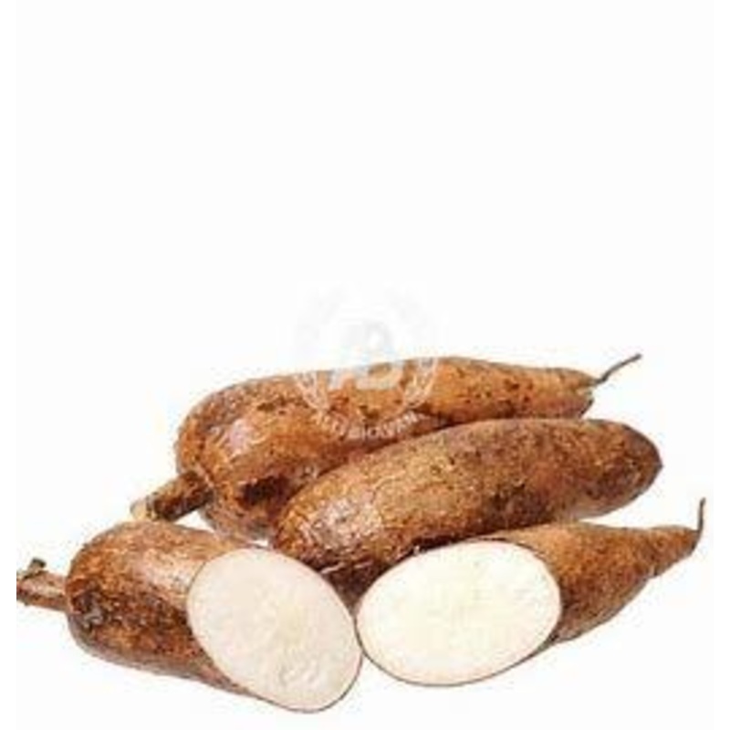 Cassava (yuca)