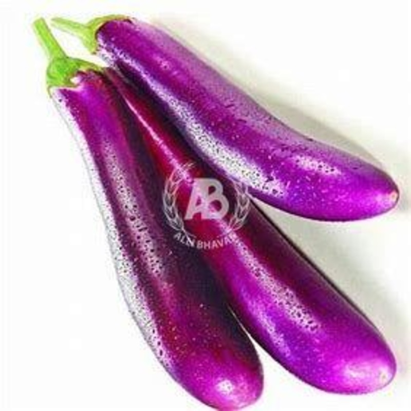 Dominican Long Aubergine (purple)