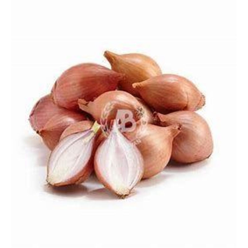 Onion Shallots