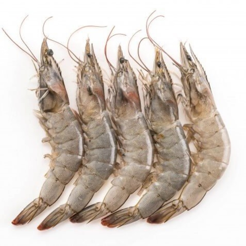 Prawns-big