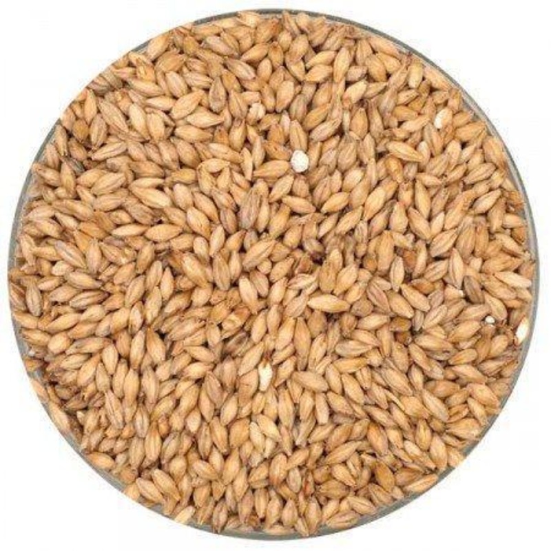 Barke German Pilsner Malt - Weyermann