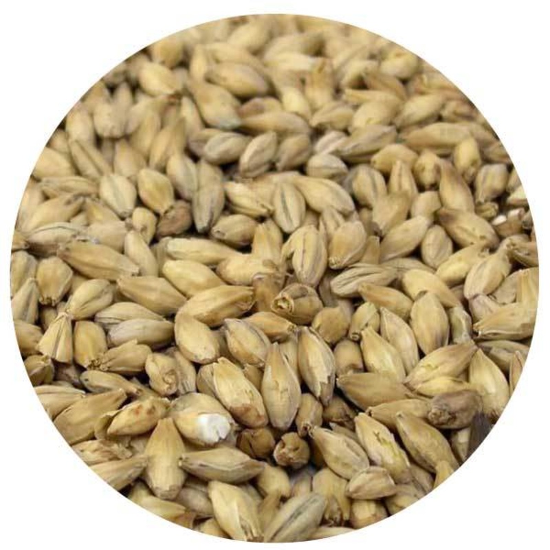 MCM Bavarian Pilsner Malt - Montana Craft Malt - 55 lb. Sack