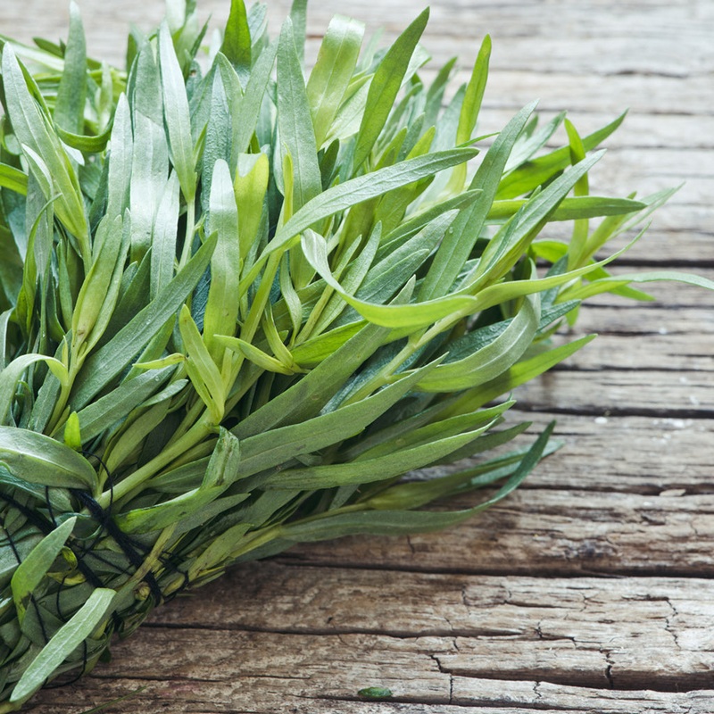 TARRAGON (by the each)