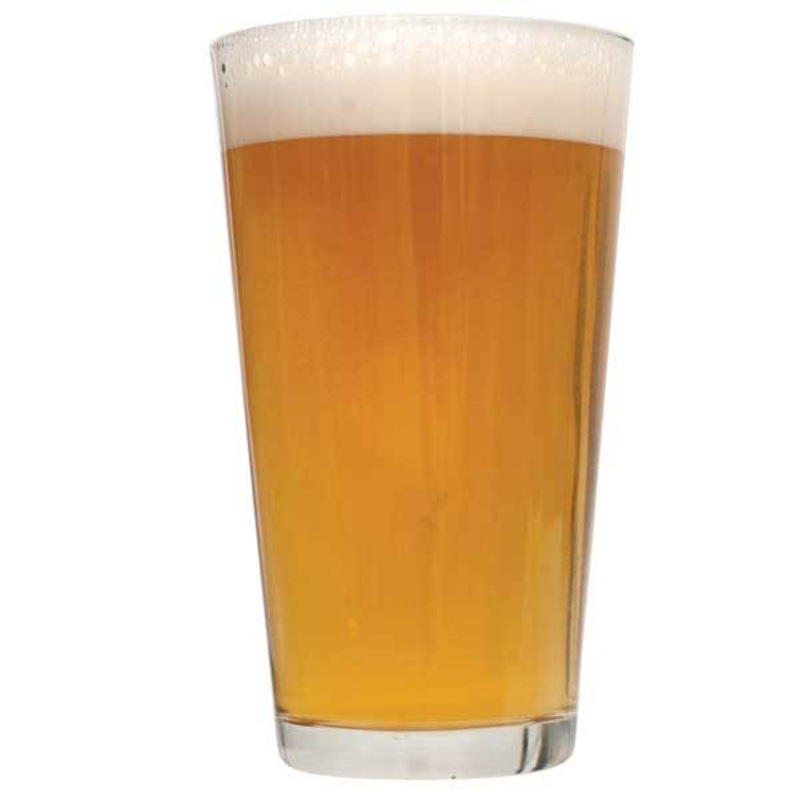 Zoomin' Pale Ale 20 Minute Boil Extract Beer Recipe Kit