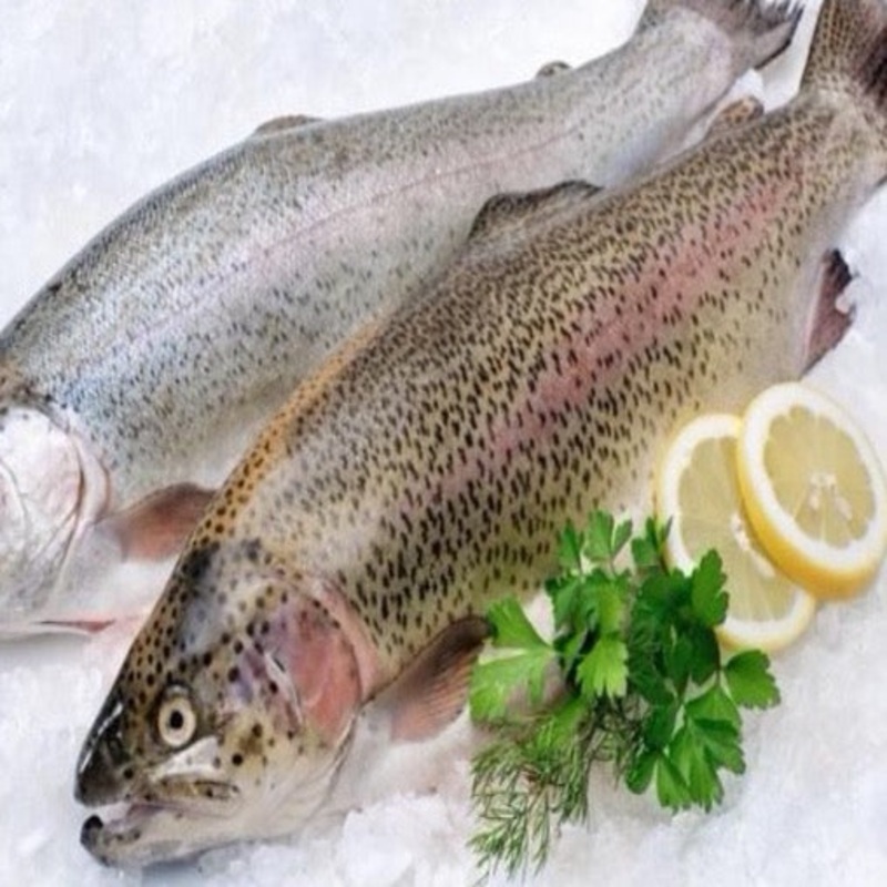 Boneless Rainbow Trout