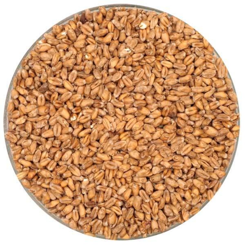 MCM Pale White Wheat Malt - Montana Craft Malt