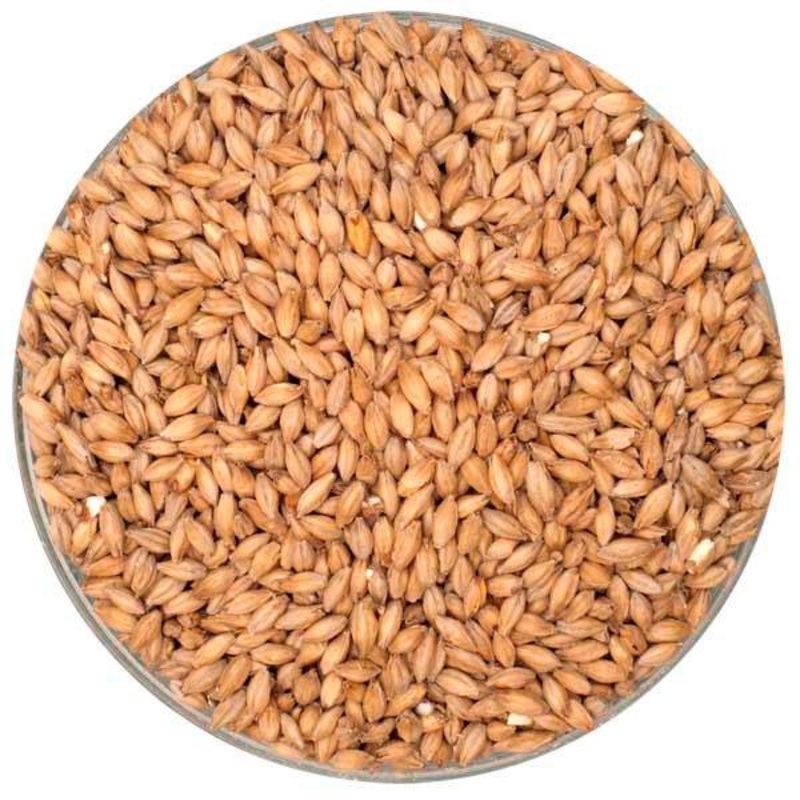 Stout Malt - Malting Company of Ireland - 55 lb. Sack