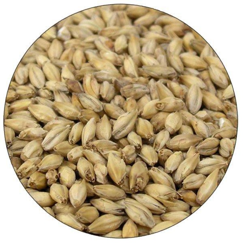 2-Row Brewers Malt - Briess - 50 lb. Sack