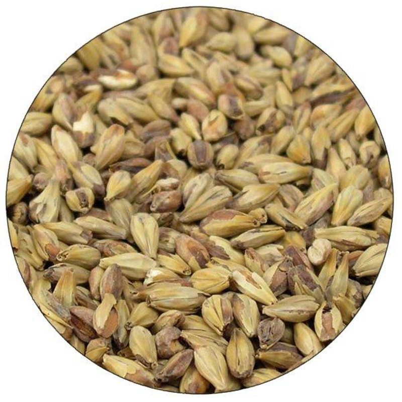 Special Roast Malt - Briess - 50 lb. Sack