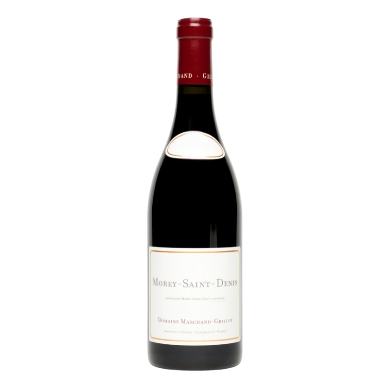 Morey-Saint-Denis AOC 2021, Domaine Marchand-Grillot