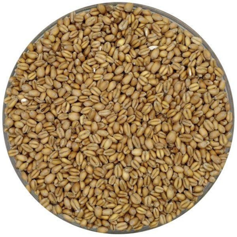 German Floor Malted Bohemian Pale Wheat - Weyermann