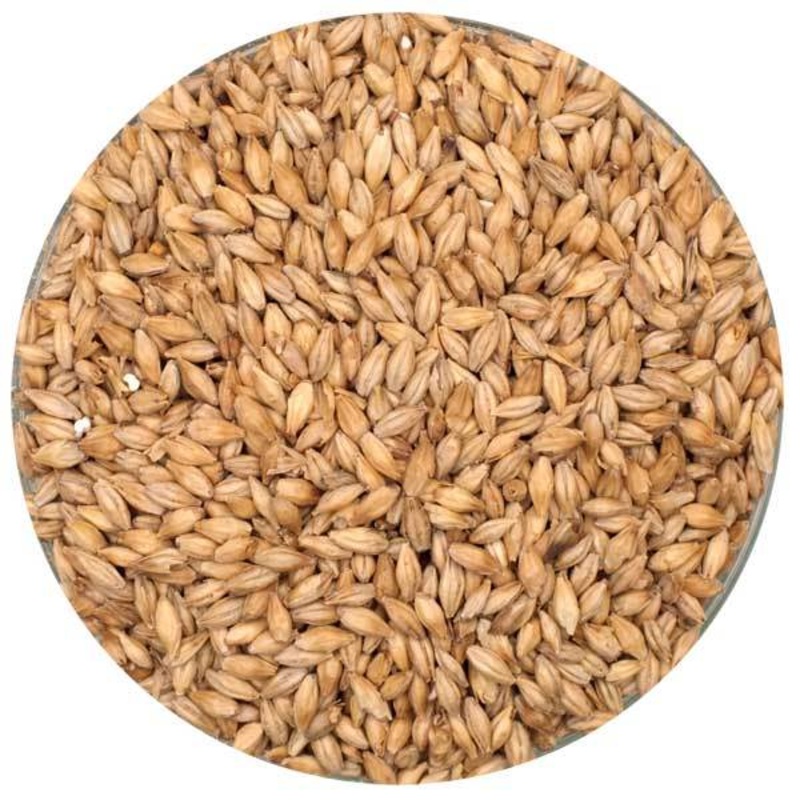 Belgian Pilsner Malt - Dingemans