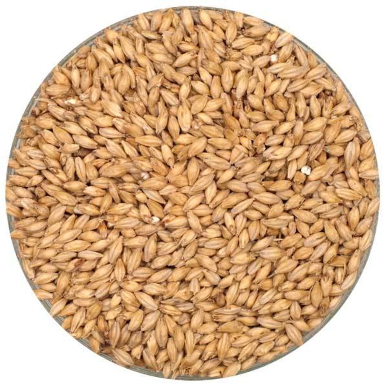 Premium Pilsner Malt - Rahr - 55 lb. Sack