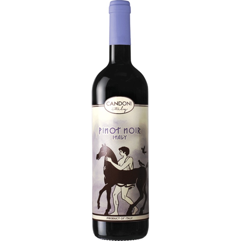 CANDONI PINOT NOIR