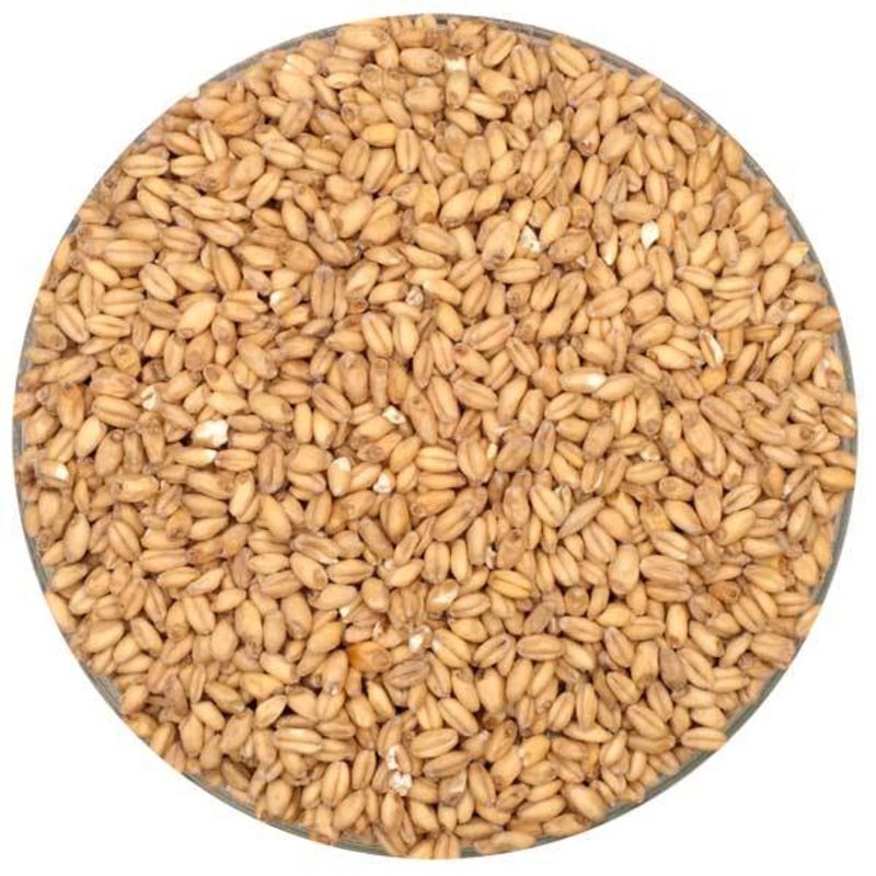 White Wheat Malt - Rahr - 55 lb. Sack