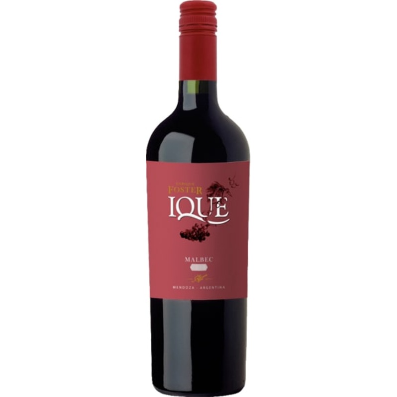 Enrique Foster 'IQUE' Malbec, Luyan de Cuyo