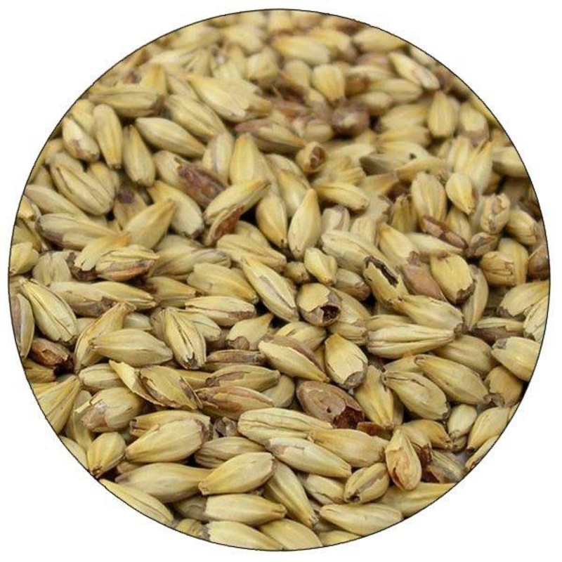 Caramel 20L Malt - Briess - 50 lb. Sack