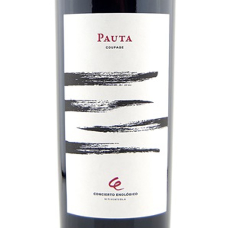 2021 Concierto Pauta Red Blend