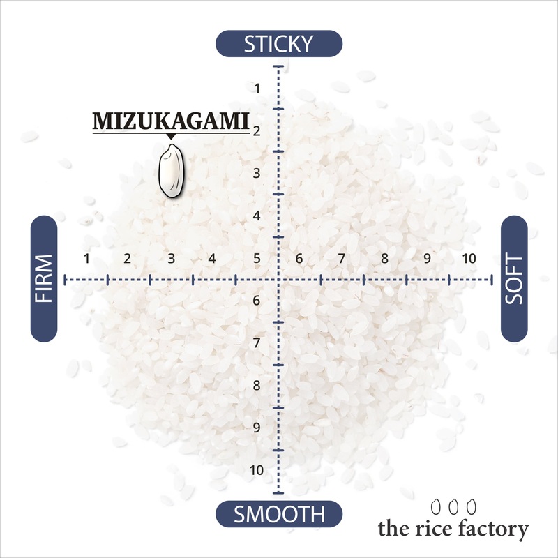 Shiga Mizukagami - - 2024 Crop