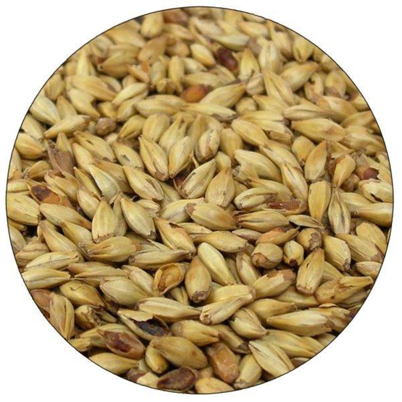 Belgian Cara 20 (Caravienne) Malt - Dingemans