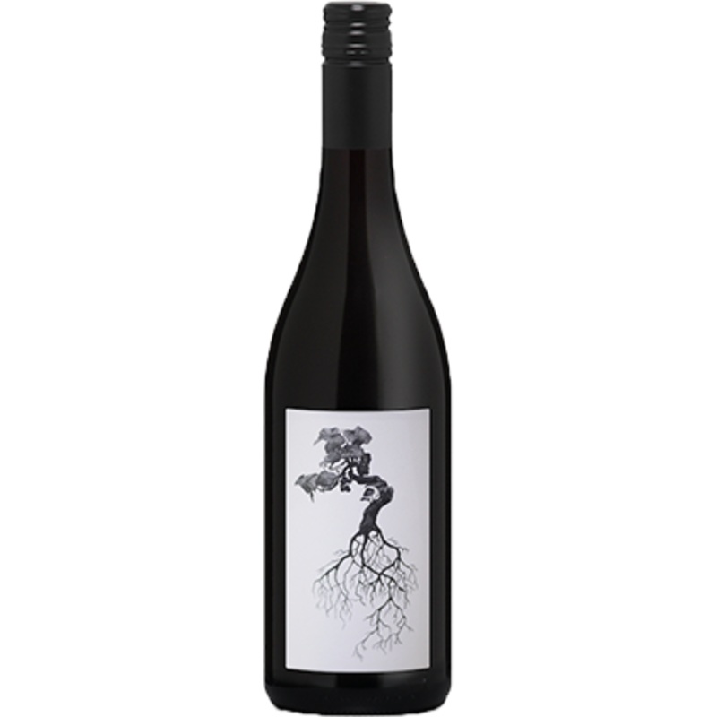 Pakiaka Syrah 2022 750ml