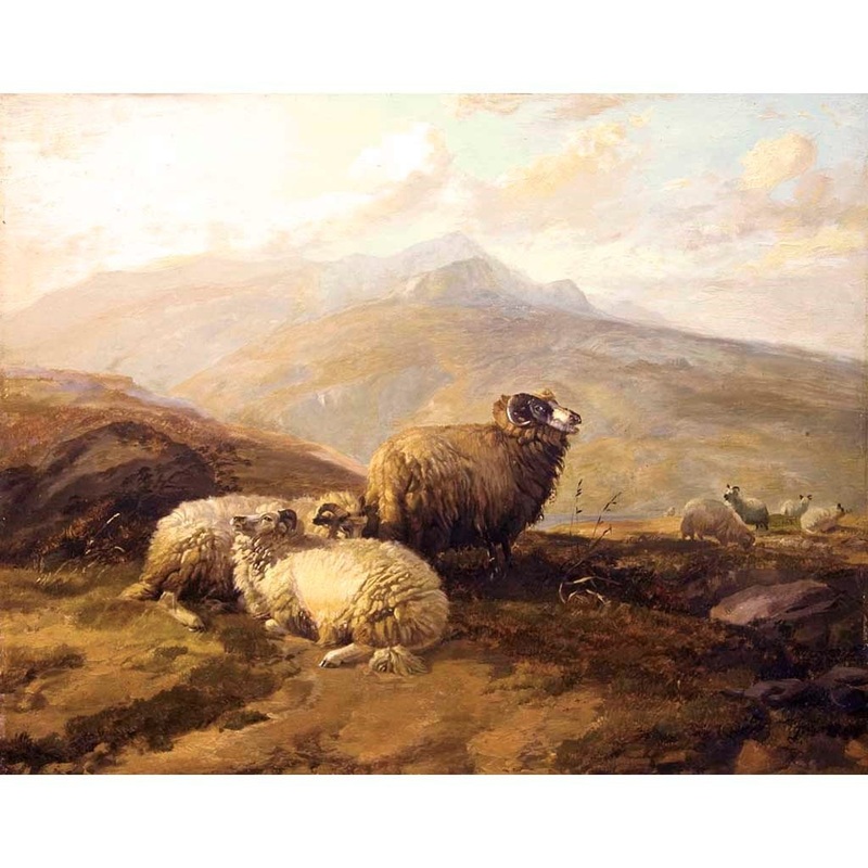 Antique Oil Painting | Highland Sheep by Thomas Sidney Cooper | 27" x 30.5"