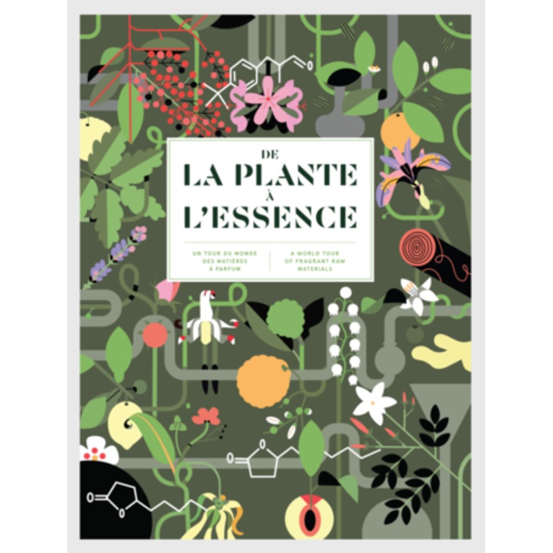 From Plant to Essence (Hardcover)