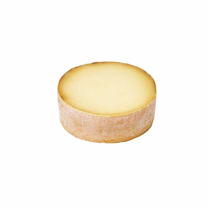 TETE DE MOINE