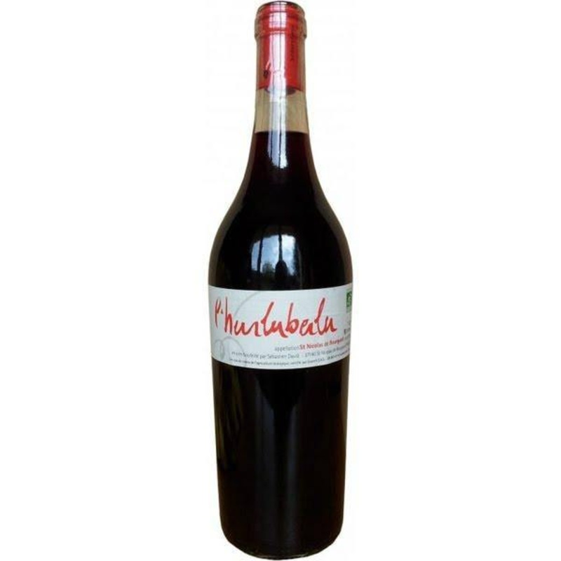 Domaine Sebastien David aint-Nicolas-de-Bourgueil Hurluberlu