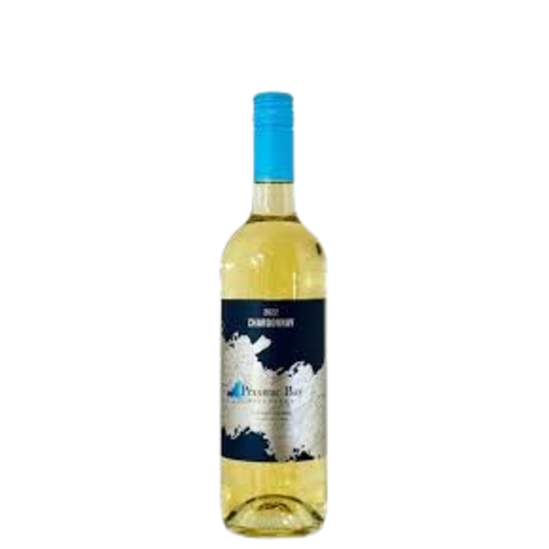 2022 Peconic Bay Vineyards Steel Chardonnay