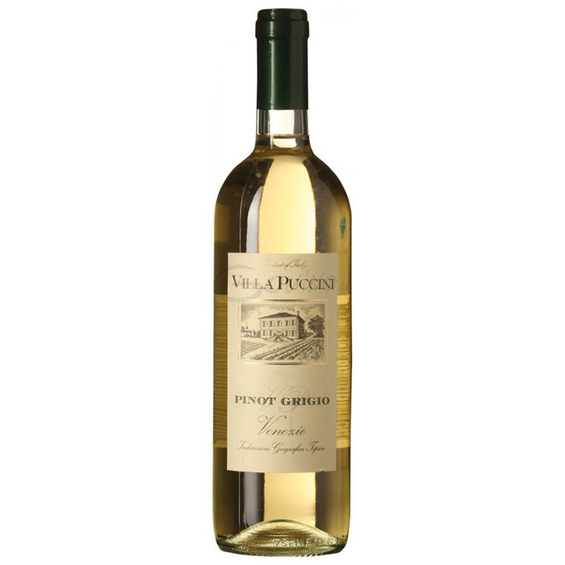 Villa Puccini Pinot Grigio