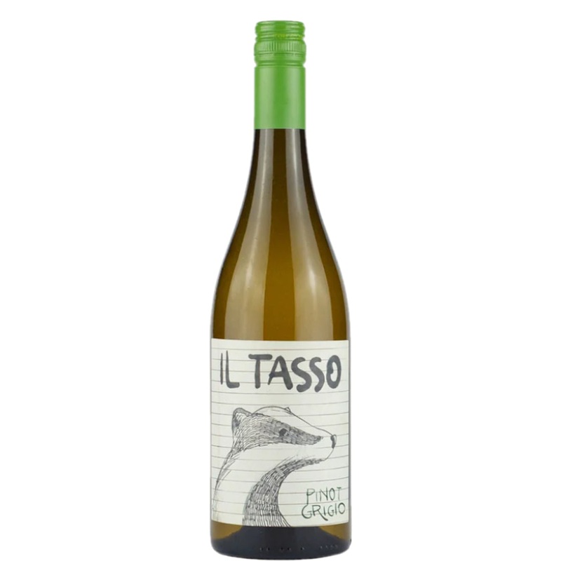 Il Tasso - Venezia Pinot Grigio 2021 (750ml)