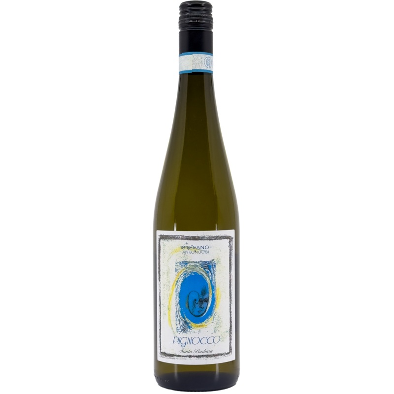 Santa Barbara Stefano Antonucci 'Pignocco' Verdicchio dei Castelli di Jesi, Marche, Italy