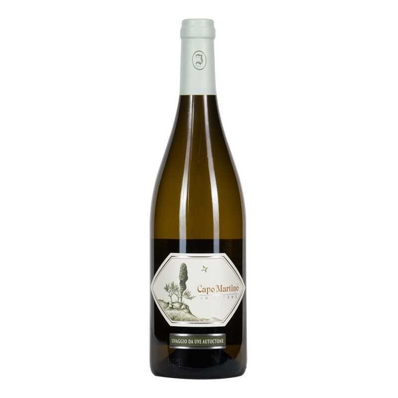 Jermann Capo Martino 2019 (1x75cl)